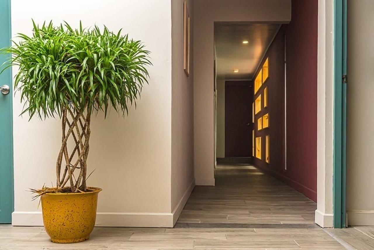 Hotel Otoya Downtown San José Zewnętrze zdjęcie